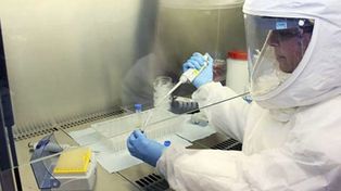 Coronavirus: el número de infectados asciende a 387
