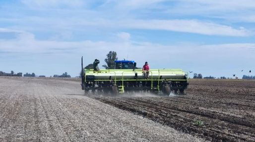 Crédito al agro: ¿Cuánto cuesta financiar la campaña 2026/27?