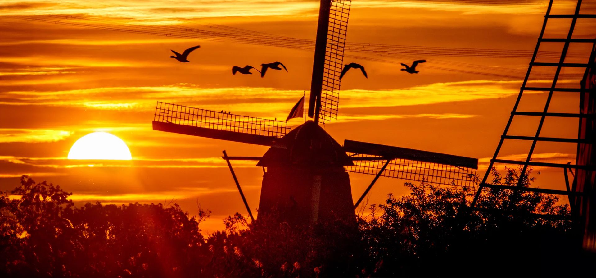 Kinderdijk, Países Bajos. Gansos salvajes silueteados sobre una bomba de viento en el sur de Holanda. Alrededor de un tercio del país está por debajo del nivel del mar y las bombas de viento evitan que la tierra se inunde. Fotografía: Michael Probst/AP Kinderdijk, Países Bajos. Gansos salvajes silueteados sobre una bomba de viento en el sur de Holanda. Alrededor de un tercio del país está por debajo del nivel del mar y las bombas de viento evitan que la tierra se inunde. Fotografía: Michael Probst/AP