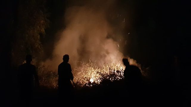 La provincia en alerta por las quemas en las islas: Un colilla de cigarrillo puede provocar un incendio