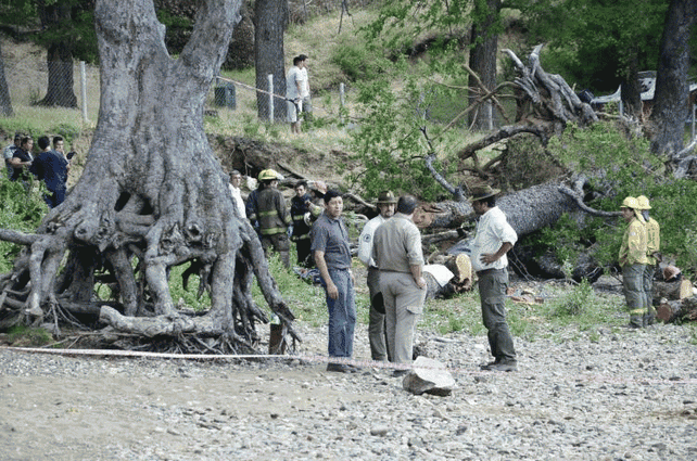 Los bomberos y socorristas de la zona de San Martín de los Andes trabajan en el lugar del accidente.
