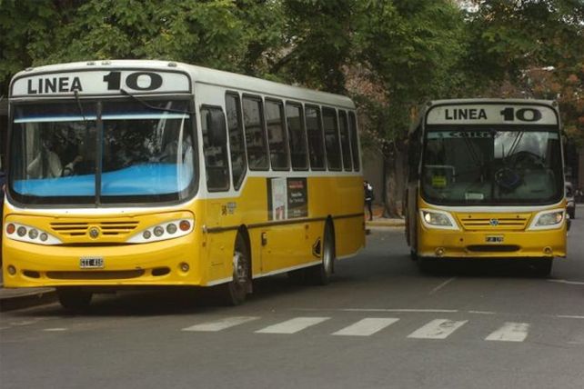 Seguridad vial: seis líneas de colectivos modifican su recorrido en la zona sur