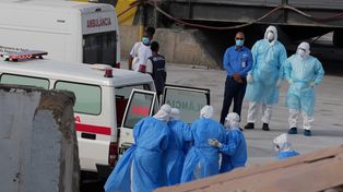 Hantavirus: el panorama en Santa Fe y cuál es la cepa que genera un alerta internacional