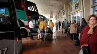 Los micros, también low cost