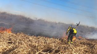Incendios: la lucha parece ser solo de Rosario