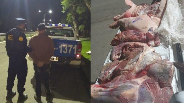 Detuvieron en Santa Elena a un hombre por abigeato en flagrancia.