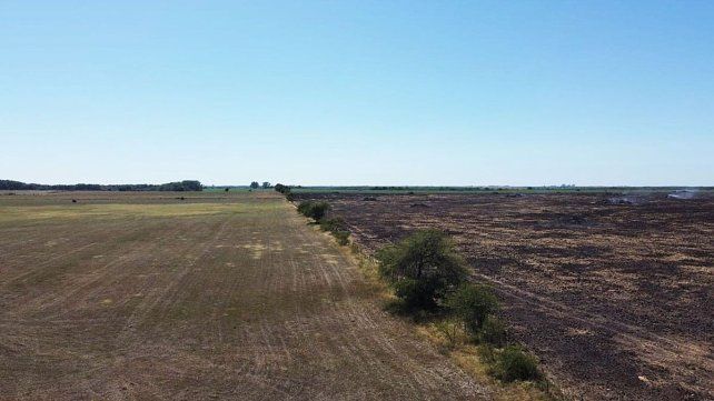 La Secretaría de Ambiente de Entre Ríos inició acciones administrativas contra los responsables de quemas en un desmonte ubicado en el departamento de Nogoyá