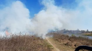 Según el Centro de Monitoreo Meteorológico y Climático, en 102 días quemaron 170.000 hectáreas del Delta. Otras 415.000 hectáreas en riesgo por los incendios