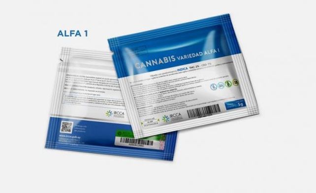Marihuana legal: Uruguay empieza la venta controlada desde el miércoles en farmacias