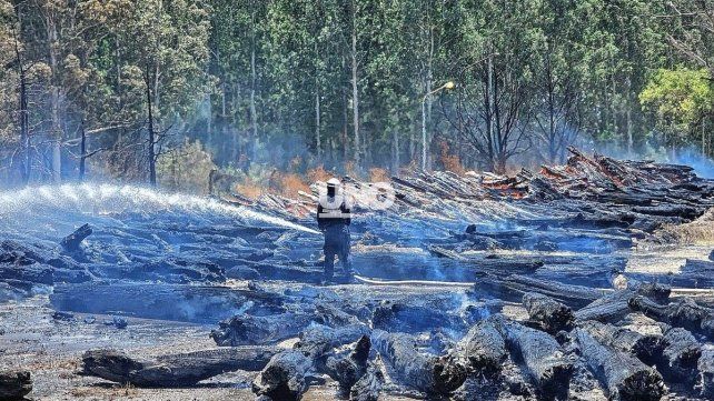 Brigadistas santafesinos lograron controlar el voraz incendio en Capitán Bermúdez