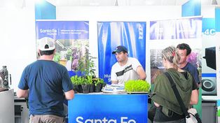 El cannabis llegó a la expo, con sus emprendedores