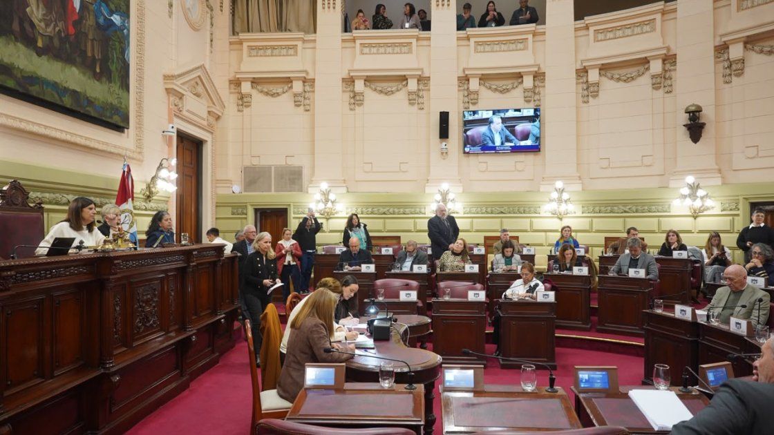 La Cámara baja dio media sanción al nuevo Código Electoral y de Partidos Políticos de Santa Fe.