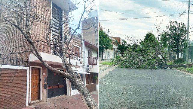 La Municipalidad dispuso de un operativo por la tormenta