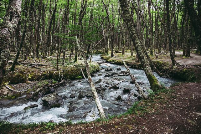 Paraná y Salado en la ruta del riesgo hídrico