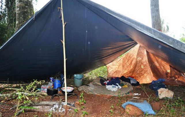 Carpas precarias. Los tarefereros trabajaban en pésimas condiciones en una plantación yerbatera misionera.