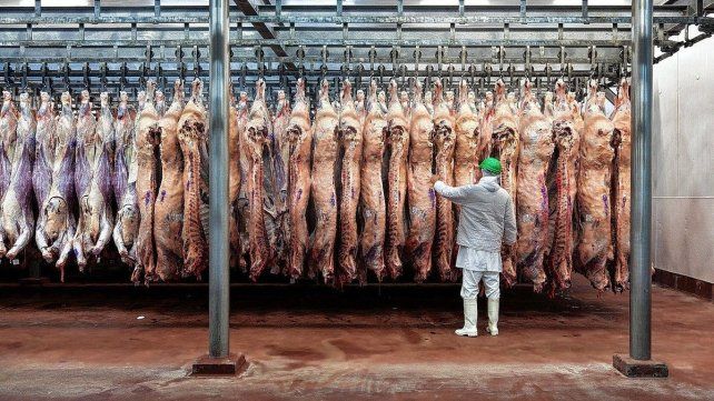 Entre Ríos perdió más de 180.000 bovinos y la faena cayó un 29