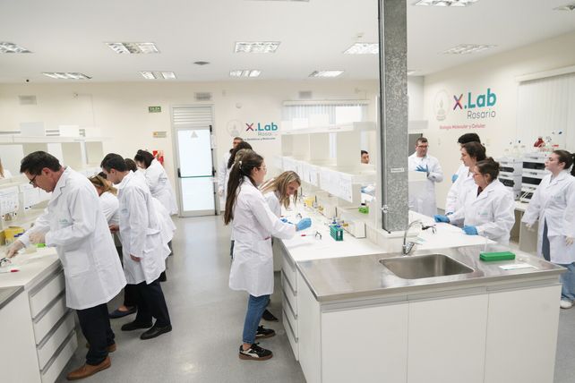Los docentes y directivos participaron de la actividad en el XLab Rosario.