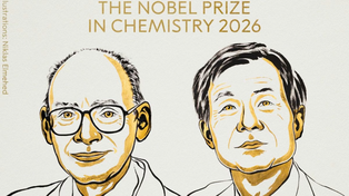 Premio Nobel de Química 2026: dos investigadores reconocidos por un hallazgo sobre las moléculas