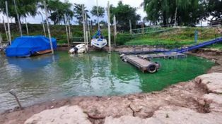 Recomiendan no ingresar a zonas del río Paraná donde se detecten manchas verdes en la superficie