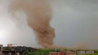 ¿Tornado en Carcarañá?: el impresionante remolino de viento desprendió árboles