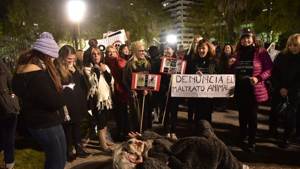Rosario le hizo frente al frío y se manifestó en contra del maltrato animal