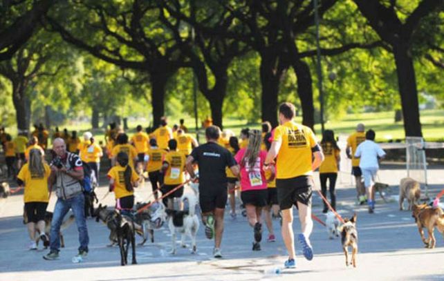 Un maratón con atletas que tendrán de acompañantes a sus perros