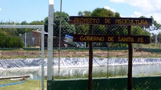 La Provincia busca generar nuevas industrias impulsando la cría de peces en cautiverio