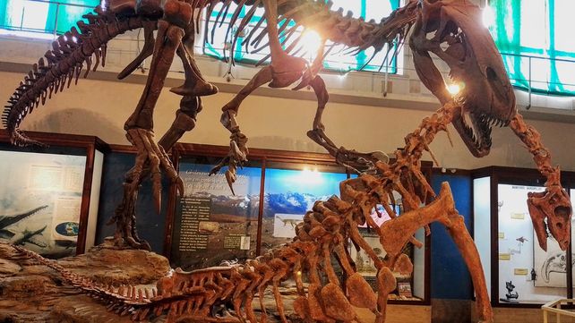 Museo Argentino de Ciencias Naturales Bernardino Rivadavia (CABA)