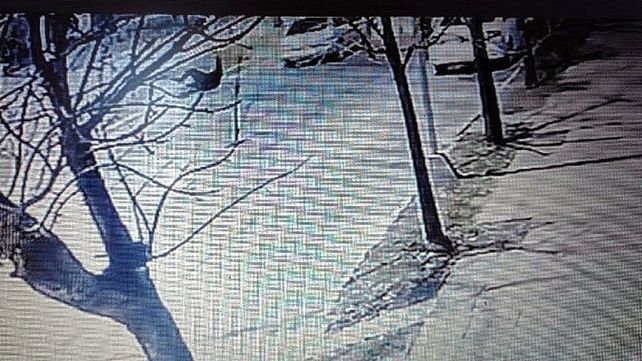 Automovilista quiso evitar un control y chocó a un policía