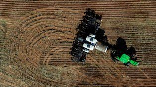 Brasil sube su producción de soja mientras China deja de comprarle a EEUU