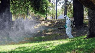 Trabajos de fumigación