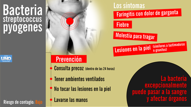 Cómo actúa la streptococcus, la bacteria que causó la muerte de cuatro niños