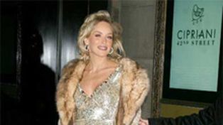 Una asociaci&oacute;n de defensa de los animales quiere estudiar el cerebro de Sharon Stone