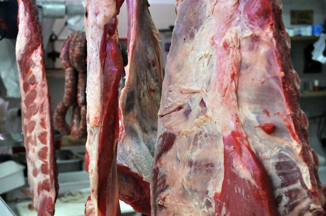 Se acordó congelar el precio de la carne por el finde largo