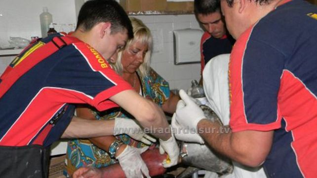 Un preso debió ser asistido por los bomberos al quedar atorado en un mingitorio