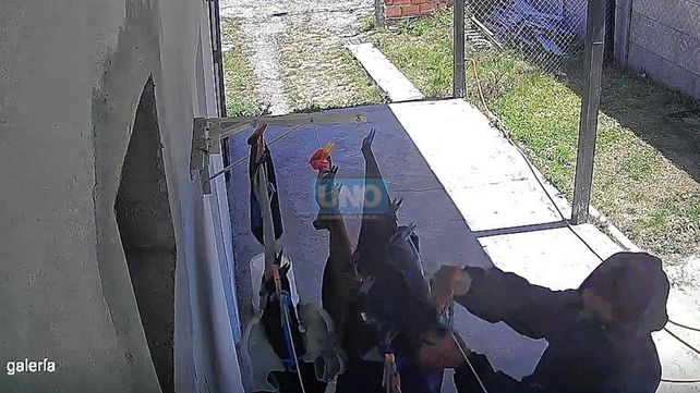 Los robos jaquean a familias en la zona del aeropuerto