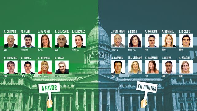 ¿Qué opinó cada diputado santafesino sobre el proyecto de legalización del aborto?