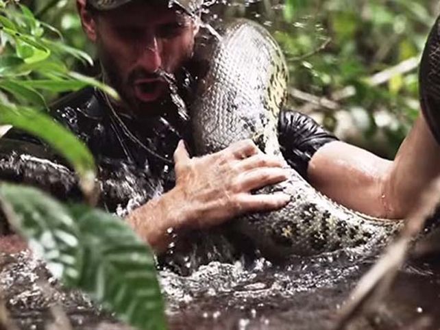 Una anaconda se comió a un hombre para un programa de televisión