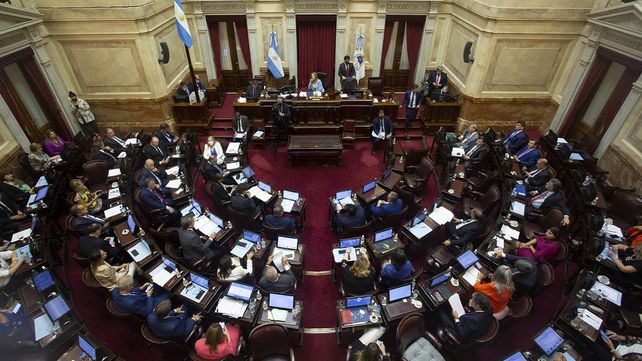 La vicepresidenta Cristina Kirchner partió en dos el oficialismo para sumar una silla en el órgano