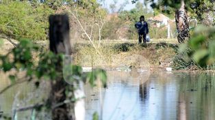 El río Paraná se mantiene en Santa Fe, mientras el Salado crece en Santo Tomé