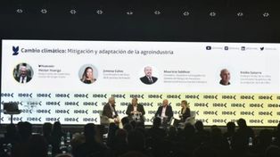 En el encuentro de Idea en Rosario se debatió sobre ambiente.
