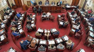 Pedirán la remoción de diputados de Amalia Granata por sus dichos ante el ataque a Cristina