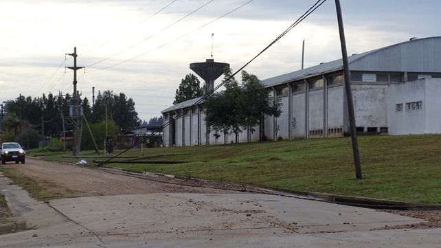 Zonas de Concordia permanecen sin luz por la caída de postes de luz