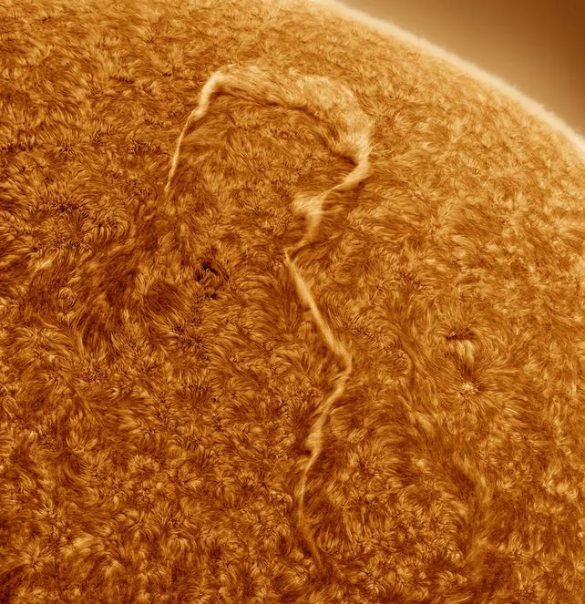 A sun question se llama la foto del rafaelino