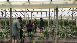 El proyecto de extensión de Fauba busca un abordaje holístico.