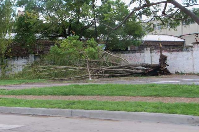 La tormenta generó cortes de energía en varios barrios de la ciudad