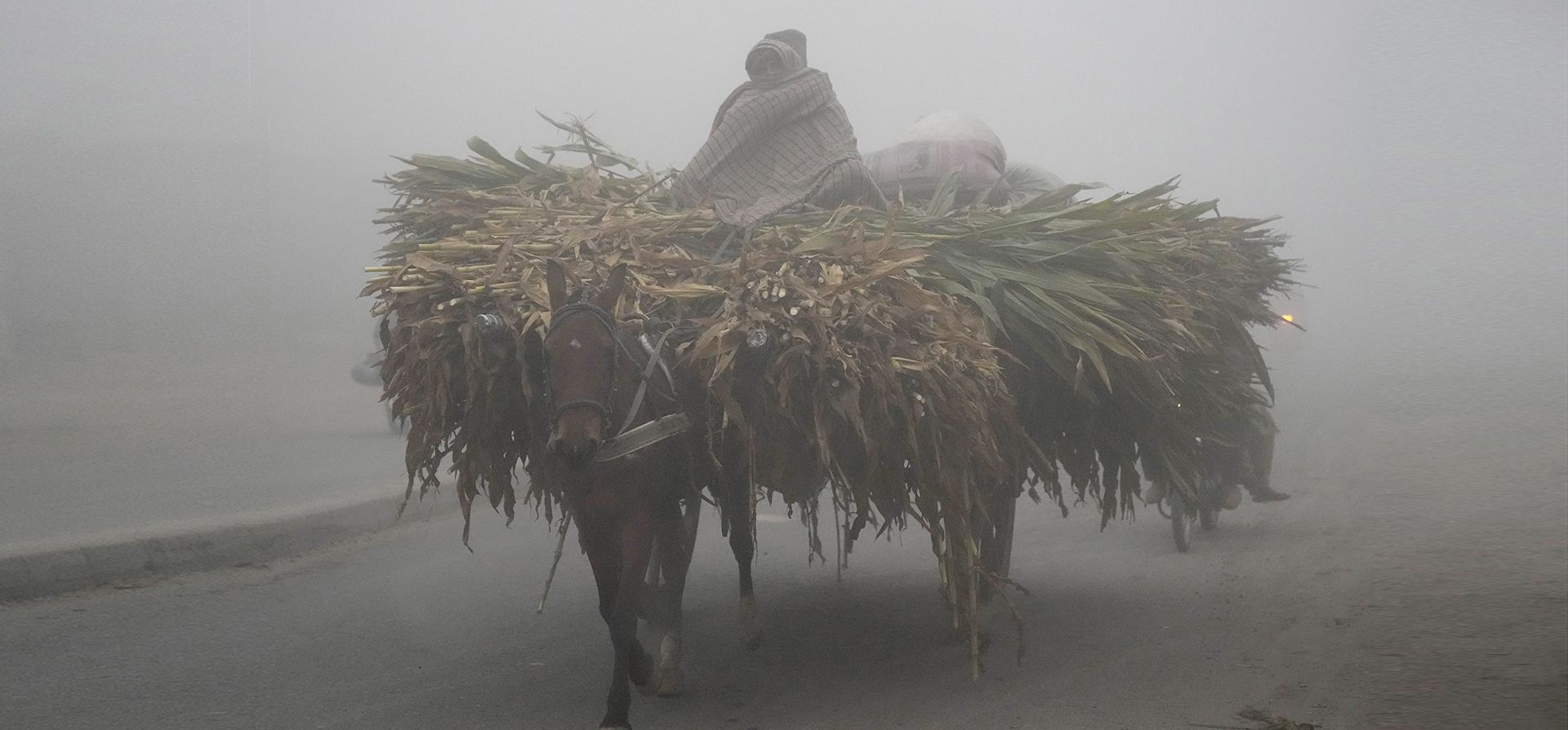 Un granjero viaja en su carreta de caballos cargada mientras la densa niebla reduce la visibilidad en Lahore, Pakistán, el miércoles 28 de diciembre de 2022. (Foto AP/K.M. Chaudary)