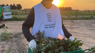 Banco de Alimentos de Paraná