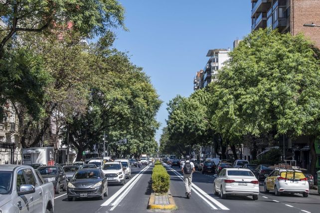 Finalizaron las obras sobre avenida Pellegrini