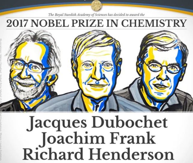 Nobel de Química para tres científicos que desarrollaron un método para ver mejor